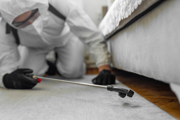 Professional Termite Control technician working in Orleans County County, NY